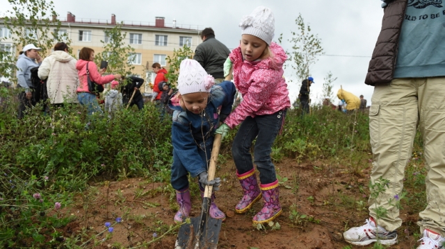 Более 26 тыс деревьев посадят в Красногорске